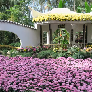 Chinese garden wallpaper