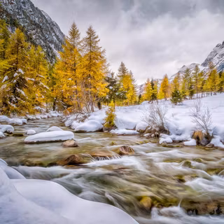 Early winter wallpaper