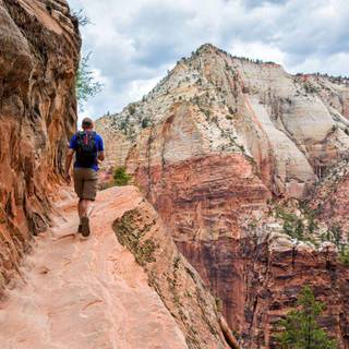 Zion National Park Canyon overlook wallpaper