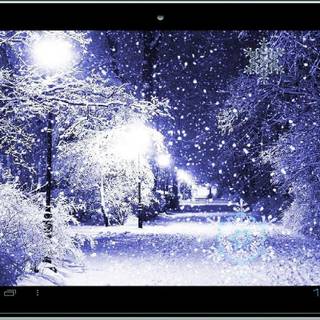 Winter dream wallpaper