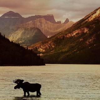 Waterton Lakes National Park of Canada wallpaper