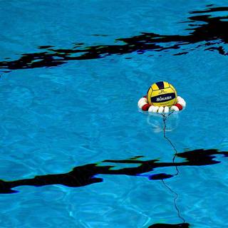 Water polo wallpaper