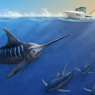 Sword fish wallpaper