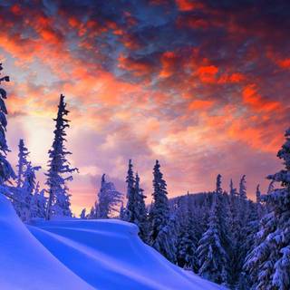 Winter 4k ultrawide wallpaper