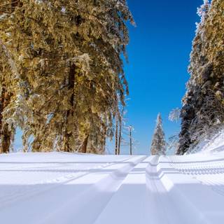 Winter 4k ultrawide wallpaper