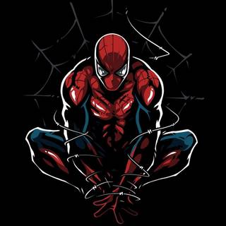 Spider-Man iPhone X wallpaper
