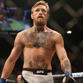 McGregor desktop wallpaper