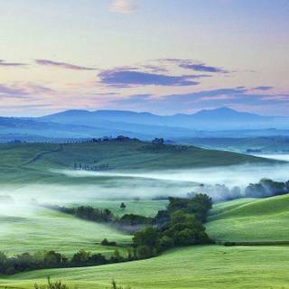 Green nature iPhone wallpaper