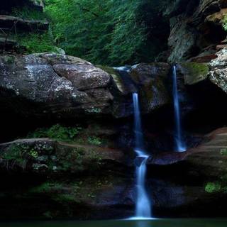 Green nature iPhone wallpaper