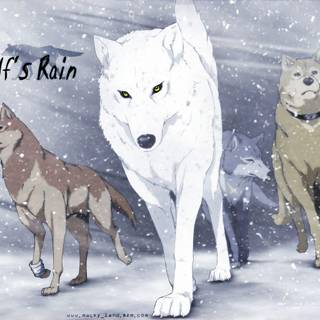 Wolf's Rain wallpaper