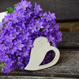 Violet flower 4k wallpaper