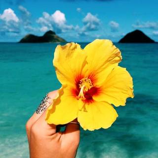 BTS Summer wallpaper