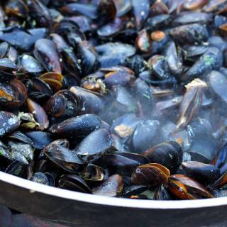 Mussels wallpaper