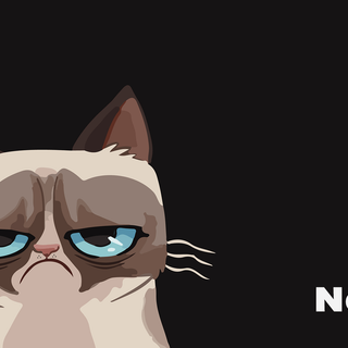 Grumpy cat meme wallpaper
