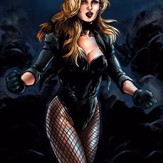 Black Canary Birds of Prey wallpaper