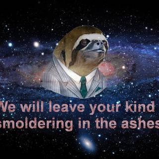 Llama sloth pug wallpaper