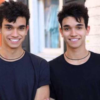 Dobre Twins wallpaper