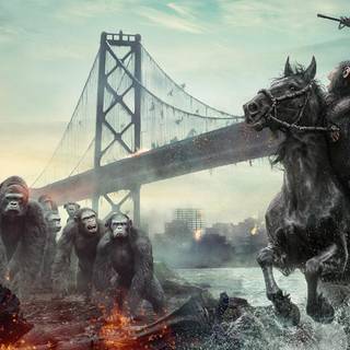 Dawn of the Planet of the Apes wallpaper