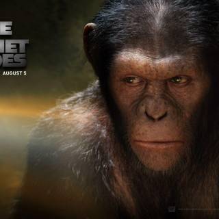 Rise of the Planet of the Apes wallpaper