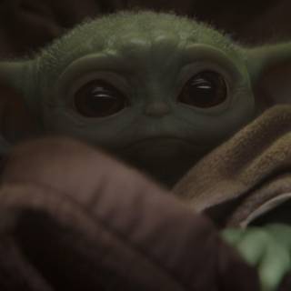 Baby Yoda memes wallpaper