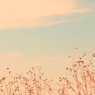 4k aesthetic desktop wallpaper