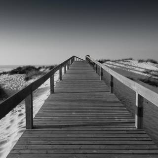 The Boardwalk wallpaper