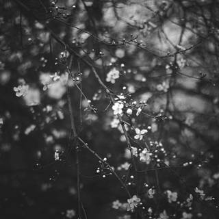 Tumblr depress wallpaper