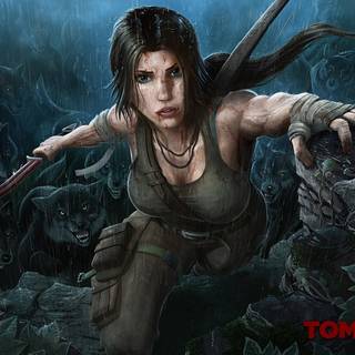 Tomb Raider 2013 desktop wallpaper