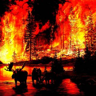 Wildfire desktop wallpaper