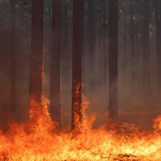 Wildfire desktop wallpaper