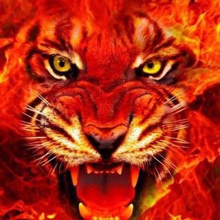 Lion on fire wallpaper