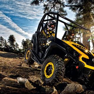 Side by side wallpaper