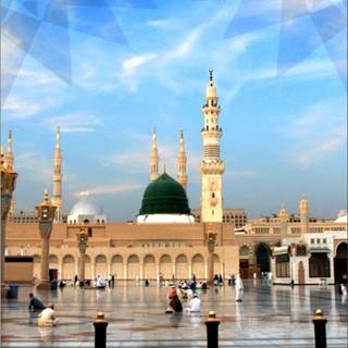 Madeena Shareef Full Hd mobile wallpaper