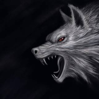 Killer wolfs wallpaper