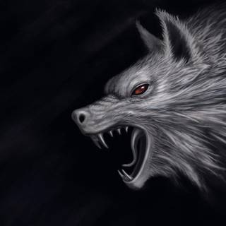 Killer wolfs wallpaper