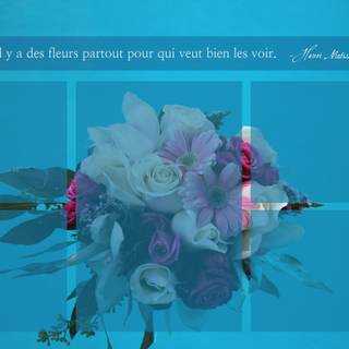 Something different wallpaper