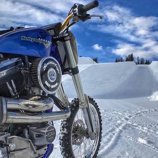 Winter X Games wallpaper