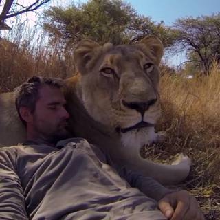 Animals hugging humans wallpaper