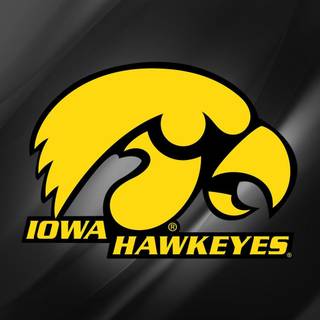 Hawkeyes desktop wallpaper