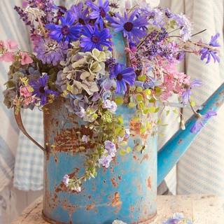 Watering Can wallpaper