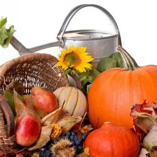 Watering Can wallpaper