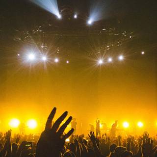 Concert wallpaper