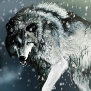 Wolves fighting wallpaper
