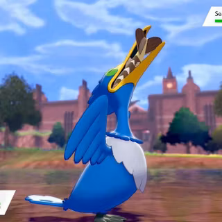 Cramorant HD wallpaper