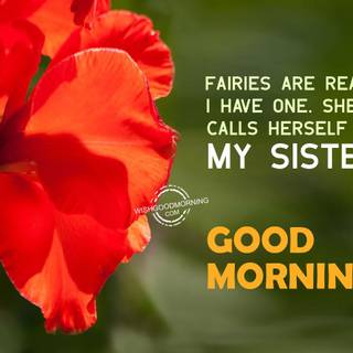 Good morning sister wishes wallpaper