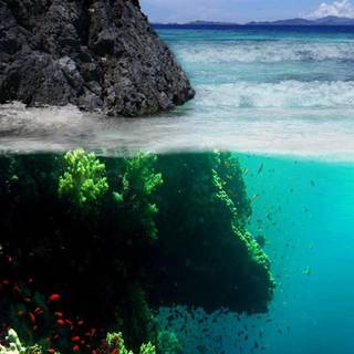 Best nature phone wallpaper