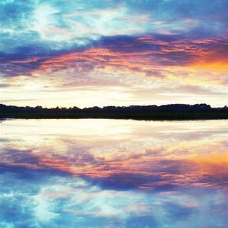 Best nature phone wallpaper