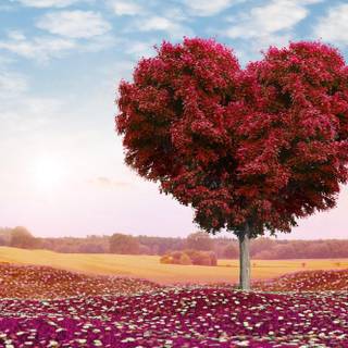 Computer love wallpaper