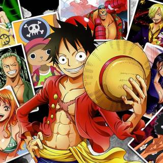Anime One Piece girls wallpaper