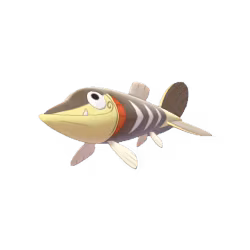 Arrokuda HD wallpaper